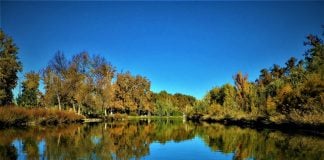 El río Tajo en Aranjuez,