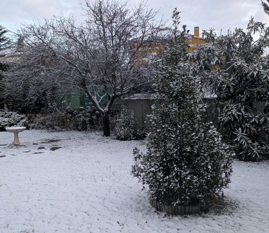 Nieve en los alrededores de Guadalajara. La capital está completamente despejada. (Foto: La Crónic@)