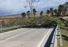 La N-320 estuvo cortada muchas horas a la altura de Alcocer. (Foto: Guardia Civil)