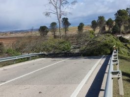 La N-320 estuvo cortada muchas horas a la altura de Alcocer. (Foto: Guardia Civil)