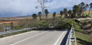 La Guardia Civil salva a una menor al trasladarla en brazos 2 kilómetros para una transfusión urgente en Alcocer La N-320 estuvo cortada muchas horas a la altura de Alcocer. (Foto: Guardia Civil)