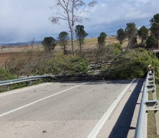 La N-320 estuvo cortada muchas horas a la altura de Alcocer. (Foto: Guardia Civil)