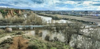 Crecida en el río Henares en febrero de 2026.