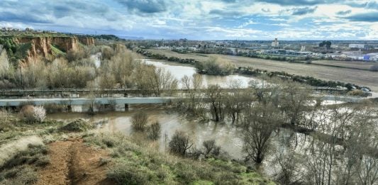 Crecida en el río Henares en febrero de 2026.