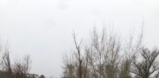 El Henares ha vuelto a inundar buena parte del paseo fluvial de Guadalajara. La imagen es del 2 de febrero de 2026.