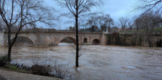 El nivel del río Henares está lejos actualmente de alcanzar el "arquillo" del puente árabe, como sí ocurrió hace un año. (Foto: La Crónic@)