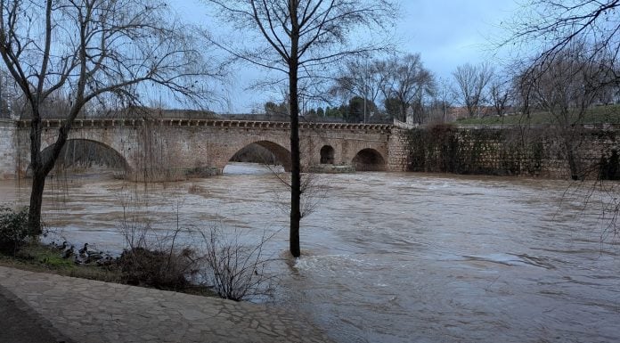 El nivel del río Henares está lejos actualmente de alcanzar el "arquillo" del puente árabe, como sí ocurrió hace un año. (Foto: La Crónic@)