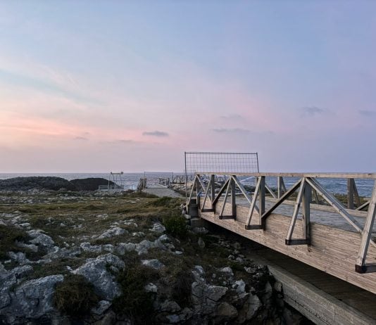 El frío análisis técnico de por qué Elena murió en la tragedia de El Bocal La pasarela de El Bocal, después de la tragedia. (Foto: H.H. / La Crónic@)