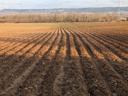Campo arado cerca de Guadalajara, en marzo de 2026. (Foto: La Crónic@)