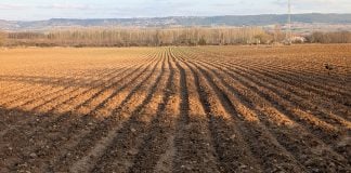 Campo arado cerca de Guadalajara, en marzo de 2026. (Foto: La Crónic@)