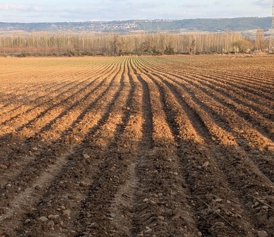 Campo arado cerca de Guadalajara, en marzo de 2026. (Foto: La Crónic@)