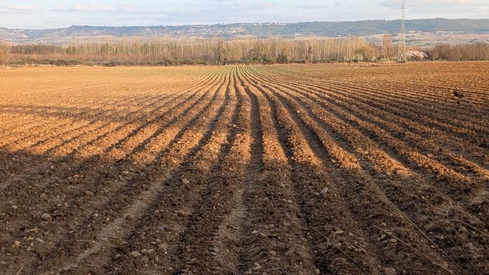 Campo arado cerca de Guadalajara, en marzo de 2026. (Foto: La Crónic@)