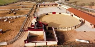 Herido por una vaquilla en Ciruelas Instalaciones de Campos Taurinos.