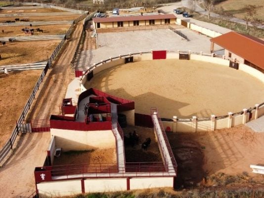 Herido por una vaquilla en Ciruelas Instalaciones de Campos Taurinos.