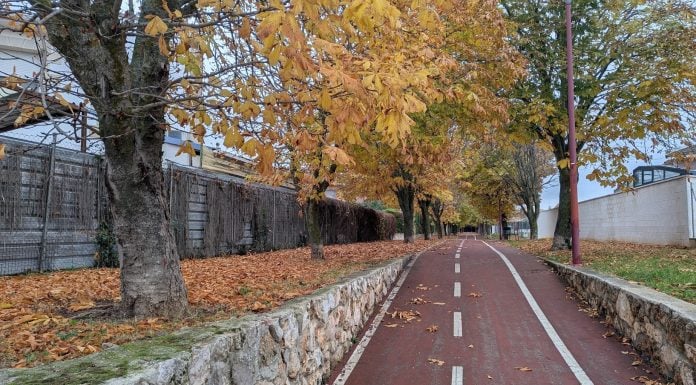 Uno de los numerosos parques de Cabanillas, cruzado por un carril bici. (Foto: La Crónic@)