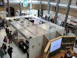 Feria Apícola de Pastrana