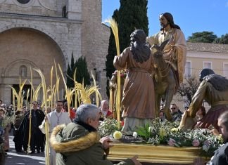 ¿Sabes desde cuándo se celebra la procesión de «La Borriquilla» en Guadalajara? Procesión de La Borriquilla en 2026. (Foto: Jesús de los Reyes)