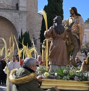 Procesión de La Borriquilla en 2026. (Foto: Jesús de los Reyes)