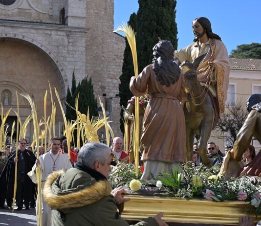 Procesión de La Borriquilla en 2026. (Foto: Jesús de los Reyes)