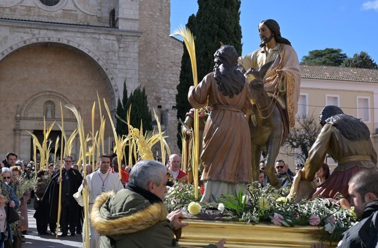 ¿Sabes desde cuándo se celebra la procesión de «La Borriquilla» en Guadalajara? Procesión de La Borriquilla en 2026. (Foto: Jesús de los Reyes)