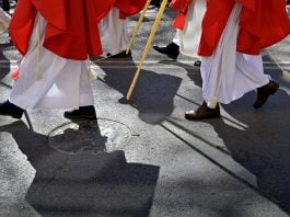 Un detalle de la Procesión del Domingo de Ramos de Guadalajara.