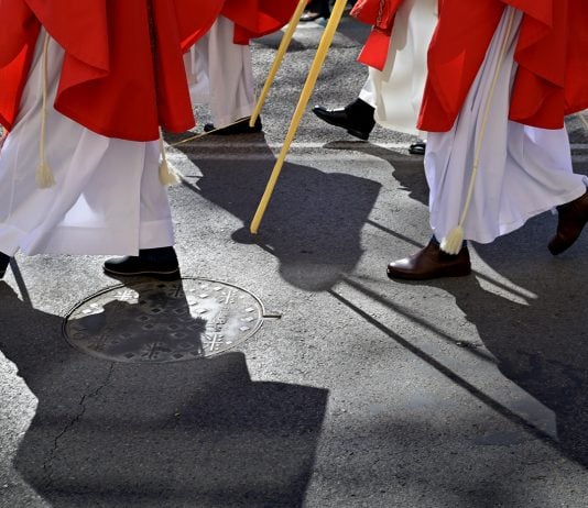 Un detalle de la Procesión del Domingo de Ramos de Guadalajara.