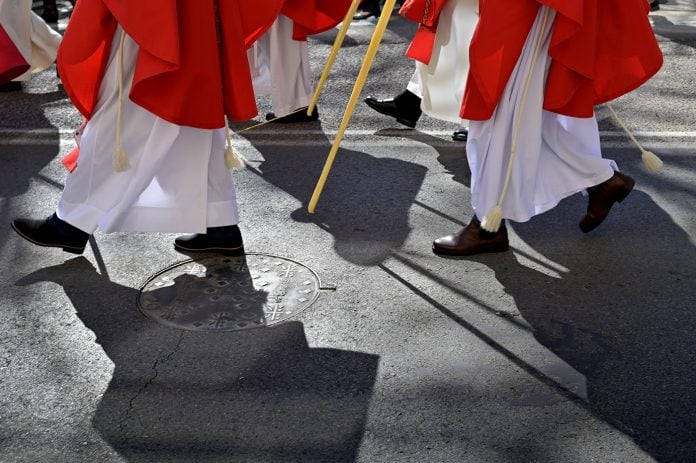 Un detalle de la Procesión del Domingo de Ramos de Guadalajara.