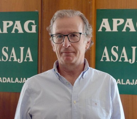 Juan José Laso, presidente de APAG.