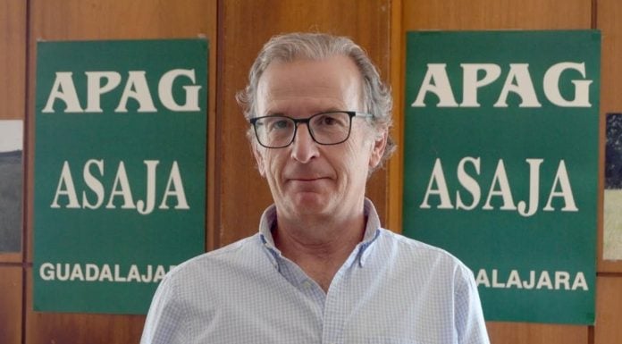 Juan José Laso, presidente de APAG.