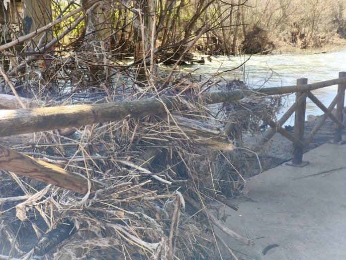 Maleza en el río Henares