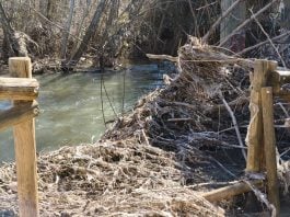Estado del cauce del río Henares en marzo de 2026. (Foto: PSOE)