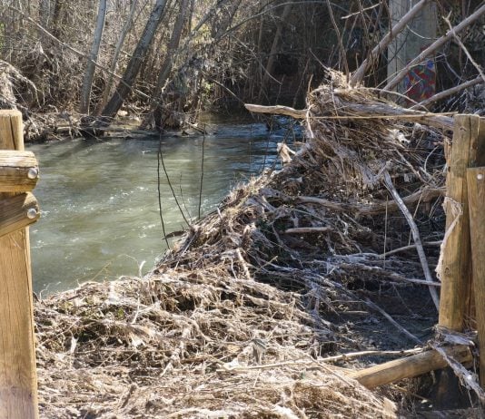 Este sábado te invitan a limpiar el Henares Estado del cauce del río Henares en marzo de 2026. (Foto: PSOE)