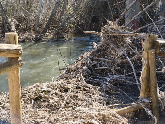 Estado del cauce del río Henares en marzo de 2026. (Foto: PSOE)