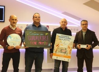 Ayudas al comercio de Guadalajara