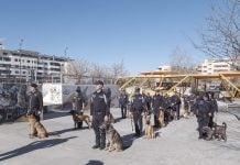 Curso de guias caninos