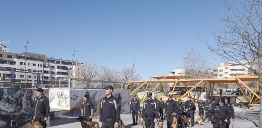 Curso de guias caninos