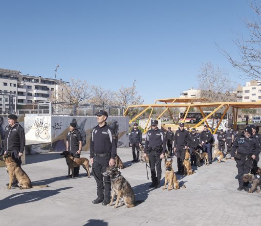 Curso de guias caninos