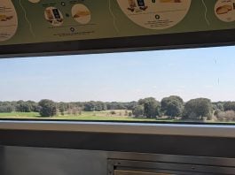 La Alcarria desde la cafetería de un AVE, en marzo de 2026. (Foto: La Crónic@)