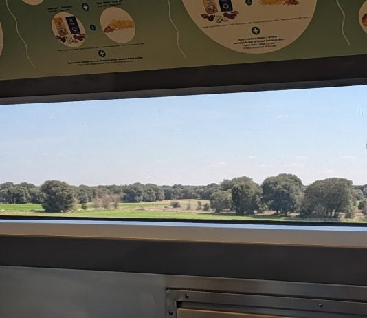 Van a acabar con los «temblores» en la línea de AVE a su paso por Guadalajara La Alcarria desde la cafetería de un AVE, en marzo de 2026. (Foto: La Crónic@)