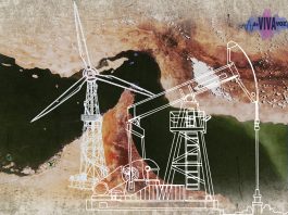 Petróleo