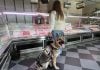 Perro guía en una carnicería,