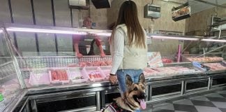 Perro guía en una carnicería,