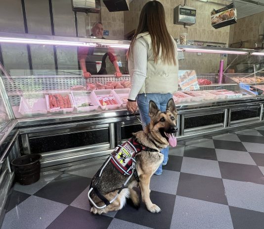 Perro guía en una carnicería,