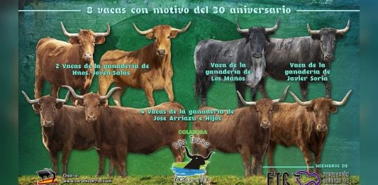 Vacas al Tajo