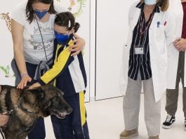 El perro "Vito", acariciado por una de las pacientes del Hospital de Guadalajara en mayo de 2026.