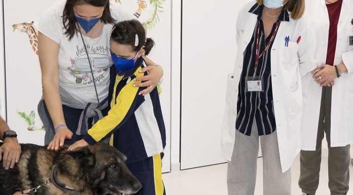El perro "Vito", acariciado por una de las pacientes del Hospital de Guadalajara en mayo de 2026.
