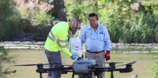 Mosca negra: la plaga que preocupa en Toledo y que se combate con drones Dron de fumigación contra la mosca negra en Toledo.