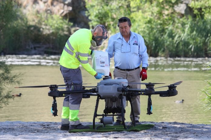 Dron de fumigación contra la mosca negra en Toledo.