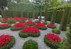 Jardín en Bruselas.
