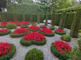 Jardín en Bruselas.